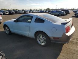 FORD MUSTANG GT 2007 gray  gas 1ZVHT82HX75266745 photo #3