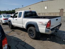 TOYOTA TACOMA ACC 2008 white  gas 5TEUU42N38Z471304 photo #3