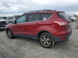 FORD ESCAPE SEL 2013 red 4dr spor gas 1FMCU9HX0DUA81633 photo #3