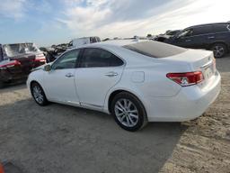 LEXUS ES 350 2010 white  gas JTHBK1EG1A2364835 photo #3