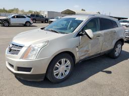 CADILLAC SRX LUXURY 2010 tan  gas 3GYFNAEY0AS501751 photo #2