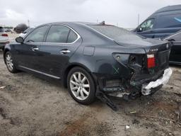 LEXUS LS 460 2007 gray  gas JTHBL46F275030082 photo #3