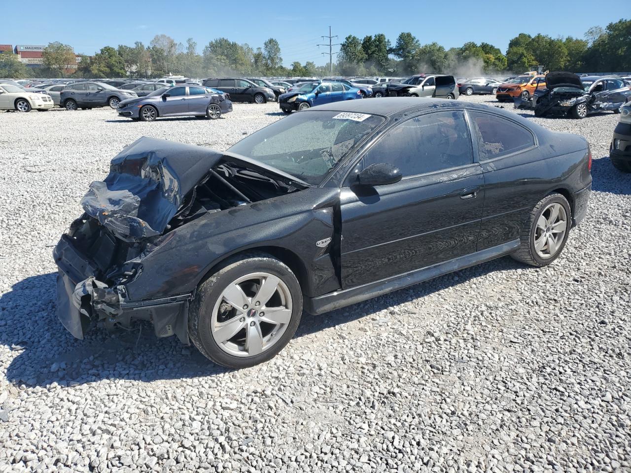 PONTIAC GTO 2004 black  gas 6G2VX12G94L262838 photo #1