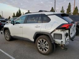 TOYOTA RAV4 XLE P 2023 white  gas 2T3C1RFV9PW284655 photo #3