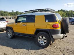 TOYOTA FJ CRUISER 2007 yellow  gas JTEBU11F970026575 photo #3