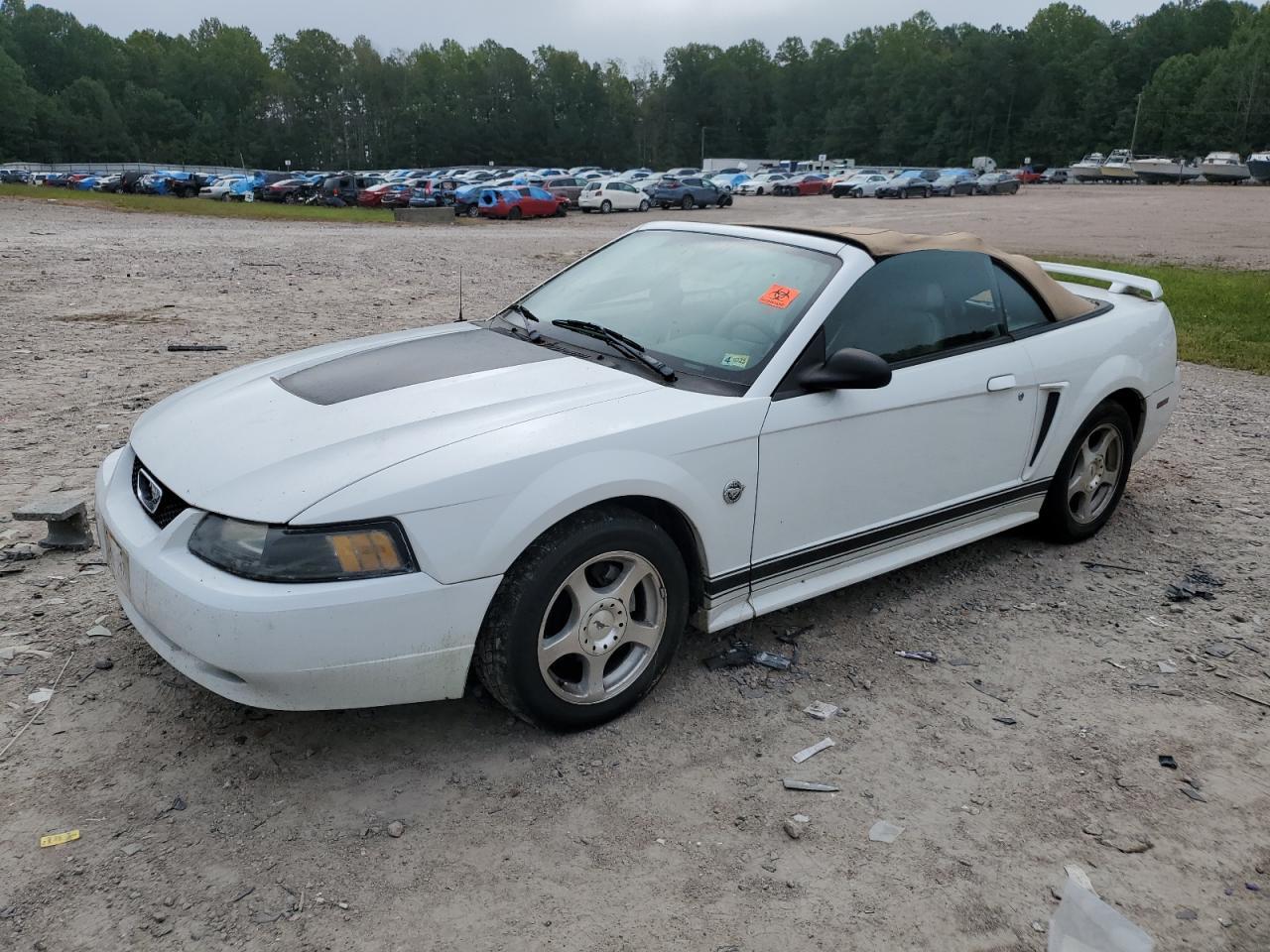 FORD MUSTANG 2004 white converti gas 1FAFP44674F208722 photo #1