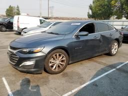 CHEVROLET MALIBU LT 2019 gray  gas 1G1ZD5ST2KF167436 photo #2