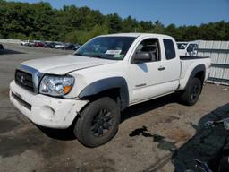 TOYOTA TACOMA ACC 2008 white  gas 5TEUU42N38Z471304 photo #2