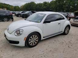 VOLKSWAGEN BEETLE 1.8 2016 white  gas 3VWF17ATXGM635627 photo #2