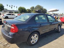 CHEVROLET MALIBU LT 2006 blue  gas 1G1ZT51856F301264 photo #4