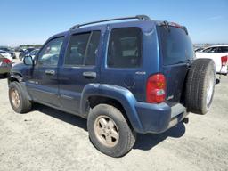 JEEP LIBERTY LI 2002 blue  gas 1J4GL58K22W230772 photo #3