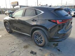 LEXUS NX 250 BAS 2024 black  Gasoline 2T2ADCAZXRC013196 photo #3