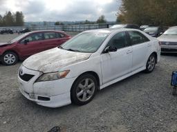 TOYOTA CAMRY BASE 2009 white  gas 4T1BE46K39U850216 photo #2