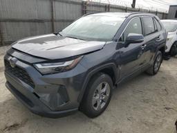 TOYOTA RAV4 XLE 2024 gray  gas JTMW1RFV5RD118145 photo #2