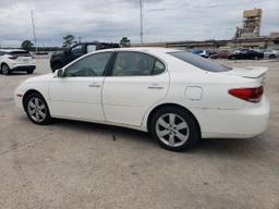 LEXUS ES 330 2005 white  gas JTHBA30G755056711 photo #3