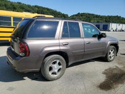 CHEVROLET TRAILBLAZE 2008 brown  gas 1GNDT13S482221751 photo #4