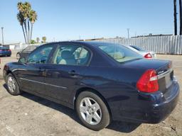 CHEVROLET MALIBU LT 2006 blue  gas 1G1ZT51856F301264 photo #3