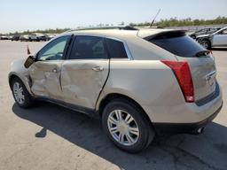 CADILLAC SRX LUXURY 2010 tan  gas 3GYFNAEY0AS501751 photo #3