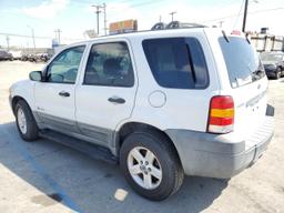 FORD ESCAPE HEV 2005 white 4dr spor hybrid engine 1FMCU95H25KD42836 photo #3