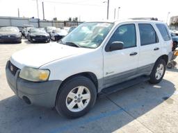 FORD ESCAPE HEV 2005 white 4dr spor hybrid engine 1FMCU95H25KD42836 photo #2