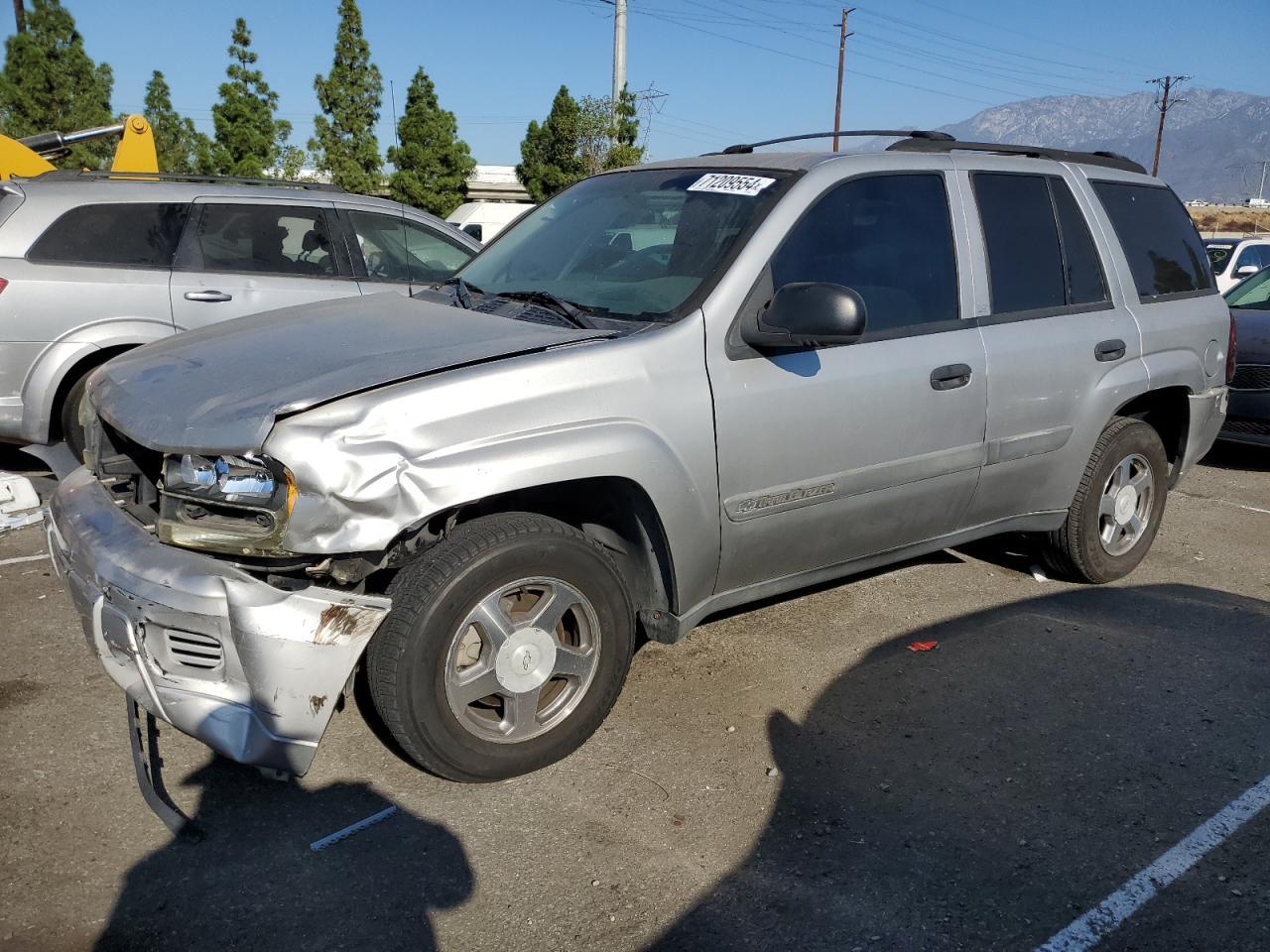 CHEVROLET TRAILBLAZE 2004 gray  gas 1GNDS13S542103852 photo #1