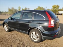 HONDA CR-V EXL 2010 black  gas 5J6RE4H70AL056225 photo #3