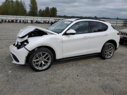 ALFA ROMEO STELVIO TI 2018 white  gas ZASFAKNN4J7B79487 photo #2