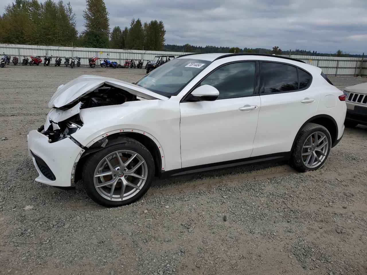 ALFA ROMEO STELVIO TI 2018 white  gas ZASFAKNN4J7B79487 photo #1