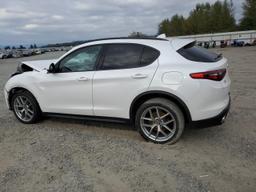 ALFA ROMEO STELVIO TI 2018 white  gas ZASFAKNN4J7B79487 photo #3