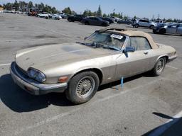 JAGUAR XJS 1988 silver  gas SAJNV5845JC144625 photo #2