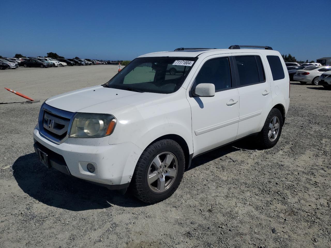 HONDA PILOT EXL 2010 white  gas 5FNYF4H68AB040038 photo #1