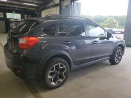 SUBARU XV CROSSTR 2014 gray 4dr spor gas JF2GPACC8E8282386 photo #4