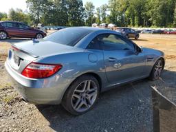 MERCEDES-BENZ SLK 250 2013 silver converti gas WDDPK4HA1DF063596 photo #4