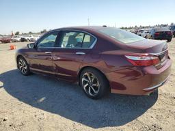 HONDA ACCORD EXL 2016 maroon  gas 1HGCR3F86GA030045 photo #3