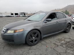 ACURA 3.2TL 2006 gray  gas 19UUA66246A004907 photo #2