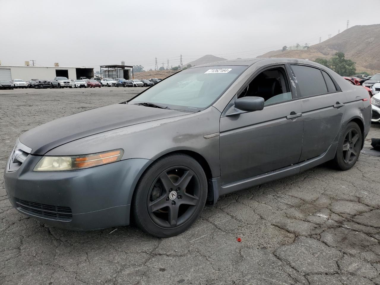 ACURA 3.2TL 2006 gray  gas 19UUA66246A004907 photo #1