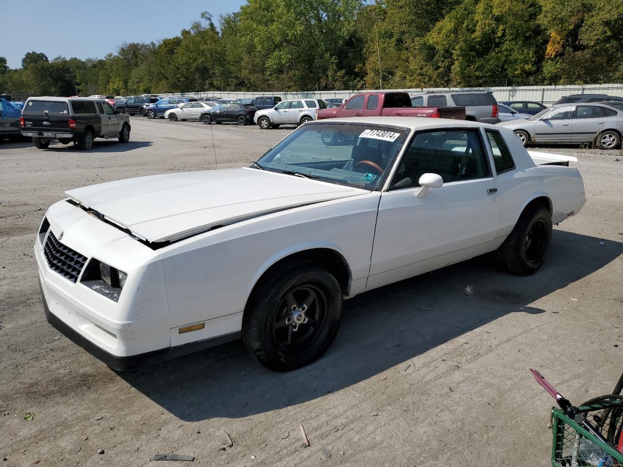 CHEVROLET MONTE CARL 1984 white coupe gas 1G1AZ37G0ER221138 photo #1