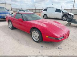 1992 CHEVROLET CORVETTE Red  Gasoline 1G1YY23P7N5102396 photo #2