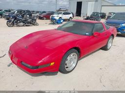 1992 CHEVROLET CORVETTE Red  Gasoline 1G1YY23P7N5102396 photo #3