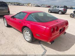 1992 CHEVROLET CORVETTE Red  Gasoline 1G1YY23P7N5102396 photo #4