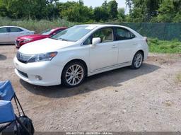 2010 LEXUS HS 250H PREMIUM White  Hybrid JTHBB1BA0A2006464 photo #3