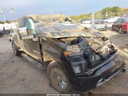 2022 CHEVROLET SILVERADO 3500HD 4WD  LONG BED HIGH COUNTRY Gray  Diesel 1GC4YVEY1NF281901 photo #2