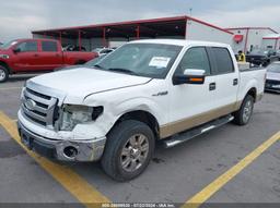 2009 FORD F-150 KING RANCH/LARIAT/PLATINUM/XL/XLT White  Flexible Fuel 1FTPW12V29KC62714 photo #3