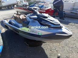 OTHER JET SKI 2018 silver    65608142 CAYDV04423K718 CAYDV04423K718 photo #2