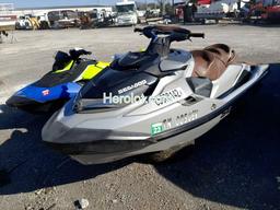 OTHER JET SKI 2018 silver    65608142 CAYDV04423K718 CAYDV04423K718 photo #3