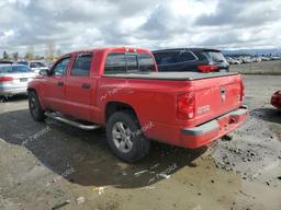 DODGE DAKOTA QUA 2007 red  flexible fuel  45881343 1D7HW48P27S202577 1D7HW48P27S202577 photo #3