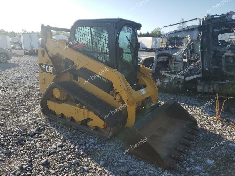 CATERPILLAR SKID STEER 2016 yellow    49186083 FTL03334 FTL03334 photo #1