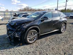 LEXUS NX 350 LUX 2024 black  gas 2T2HGCEZ1RC033725 photo #2