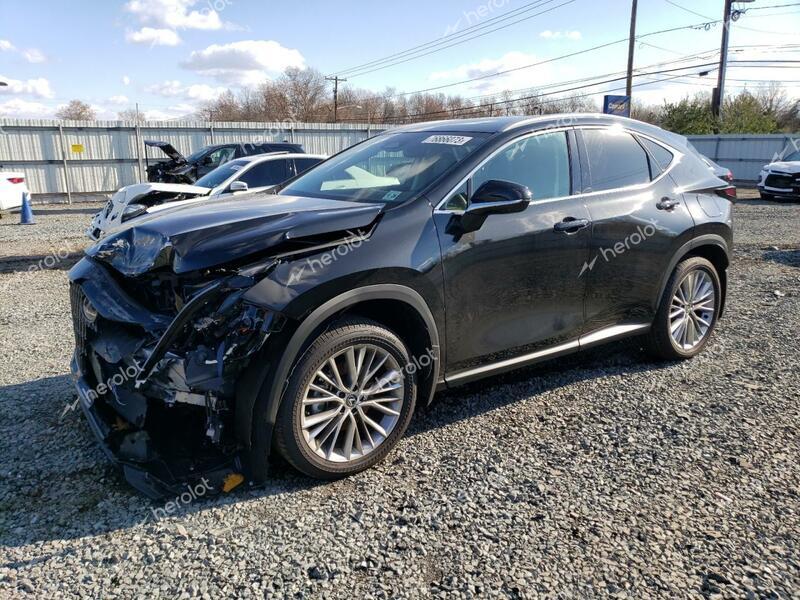 LEXUS NX 350 LUX 2024 black  gas 2T2HGCEZ1RC033725 photo #1