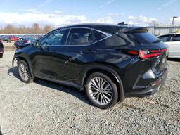 LEXUS NX 350 LUX 2024 black  gas 2T2HGCEZ1RC033725 photo #3